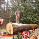 A TOO big log
