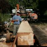Log squared