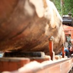 MobileSawmill-02
