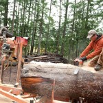 MobileSawmill-05