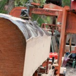 MobileSawmill-08
