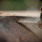 MobileSawmill-10