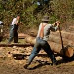 log deck