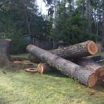 log prep 1