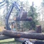 log prep 2