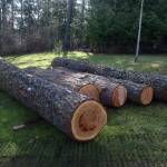 log prep 3